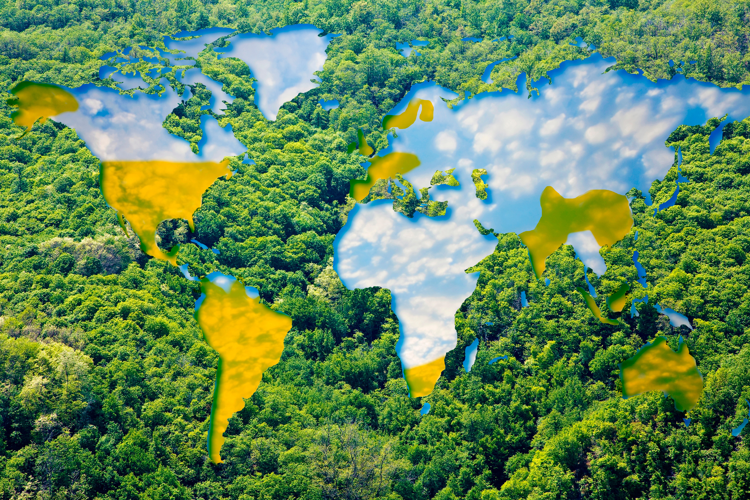 Grupo Prosegur renova plano de compensação de CO2 com foco na preservação de mais de 1 milhão de hectares de florestas naturais Grupo Prosegur renova plano de compensação de CO2 com foco na preservação de mais de 1 milhão de hectares de florestas naturais
